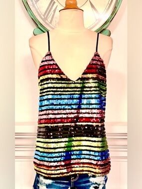 Express Vibrant Sequin Striped Camisole